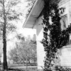 Dwinna Mary Smith  at Eugene\'s Home in Thorton, ID