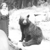 Glenice Smith & a Bear in Yellowstone, MT