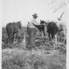 Eugene Smith Plowing beets on his Farm in Thornton, ID