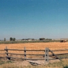 Farmland next to Eugene Smith\'s farm - Thornton, ID