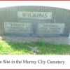 ida-smith-wilkins-and-charles-a-wilkins-grave-stone