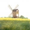 900500-pitstone-windmill-build1627-ivinghoe-buckinghamshire-england