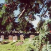 001104-howe-masters-watts-richardsst-peters-parish-wellsbourne-warwickshire-england