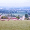Morten in March -  nead Burton on the Hill, Gloustershire, England
