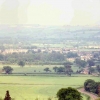 Morten in March -  nead Burton on the Hill, Gloustershire, England