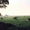 Wellbourne Countryside,  Warwickshire, England