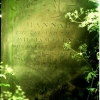 The Gravestone of Hannah Sear - the wife of William Gurney.  She died in 1861